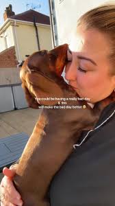 How Dogs Can Brighten Your Bad Day