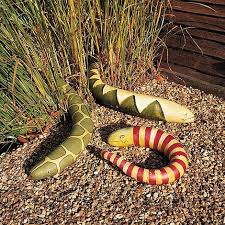 The whole fruit is eaten as a vegetable when. Snake Gourd Seeds Thompson Morgan