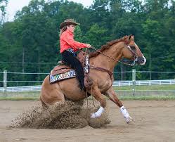 Stacy Westfall Championship Bareback & Bridleless Freestyle Reining With  Roxy - Youtube