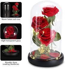 Maybe you would like to learn more about one of these? Buy Gifts For Her Wife Beauty And The Beast Rose Flowers 40 Led Lights In Glass Dome On Wood Base Gifts For Women Rose Gift Box Multi Use For Home Office Or Desk