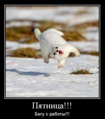 Опасения таят и передвижения на авто, поезде и самолете. Prikolnye Kartinki Pro Pyatnicu 40 Foto Prikolnye Kartinki I Pozitiv