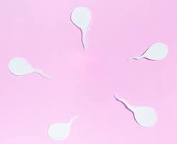 Che significato ha lo spermiogramma? Spermiogramma Cos E E Quando Farlo Dottor Nikos Prapas