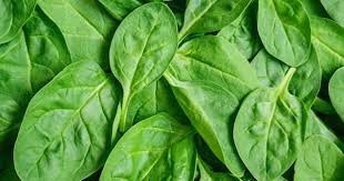 ruyada ispanak gormek yemek ne anlama gelir