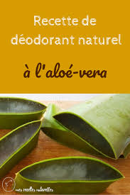 Comment Faire Un Deodorant Naturel A L Aloe Vera Deodorant Naturel Deodorant Recette Deodorant Maison