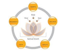 Meaning Of The Lotus Flower The Symbol Of Serenity Now Lotus Flower Meaning Lotus Meaning Lotus Flower Colors