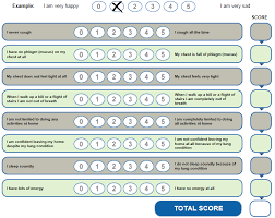 Image result for COPD Assessment Test