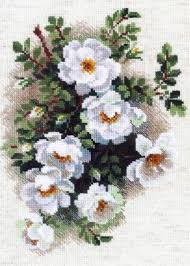 vyshivka belyj shipovnik olculu kanaviceler nakis dugumleri kanavice ornekleri