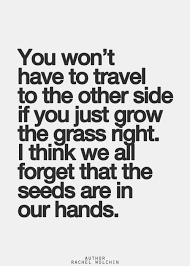 The Grass Is Not Always Greener On The Other Side Quotes You Won T Have To Travel To The Other Side If You Just Grow The Grass Right I Think We All Forget The Seeds A Inspirational Quotes Pictures Words Words Quotes