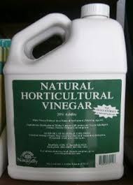 Check spelling or type a new query. Bradfield Horticultural Vinegar 20 1 Gallon Shampoo Bottle Organic Gardening Vinegar