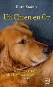 Les autres chiens attendent votre venu au refuge avec impatience. Adoption Chien Adoption Chat Et Adoption Tous Animaux De Compagnie Avec Seconde Chance