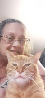 Free! Pet some kitties! Free coffee! "Bad" pet portraits!