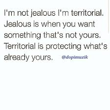 I Get Territorial Of What Belongs To Me In Case You Didn T Know The Difference Quotes Couple Quotes Im Jealous