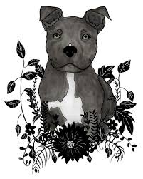 Staffy One Of My Top Favourite Dogs Staffy Artdaily Illustration Procreate Digitalart Digitaldrawing Dog Plants Dog Art Dog Illustration Plant Art