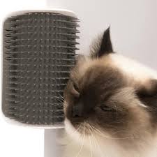 Epingle Sur Mon Chat