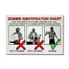 Amazon Selling Zombie Survival Gear Sig9345s Soup