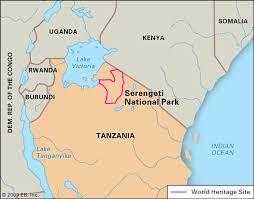 We did not find results for: Serengeti National Park Location Facts Animals Britannica