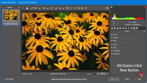 The Ultimate Guide To Renaming Photos In Lightroom Classic