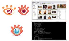 Best photo viewer, image resizer & batch converter for windows. Xnsoft Image Processing Software Xnview Xnview Mp Nconvert Information Transmission Media For Research And Development Tegakari