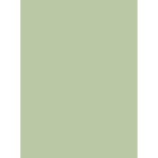 Corian® comes in a variety of hues, tones, and colors for every design sensibility and specialized corian ® works with designers, artists, architects, and industry sector experts to offer the largest. Corian Serpentine Green Stoleshnicy Iz Iskusstvennogo Kamnya Na Zakaz