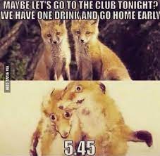 Pin On Funny