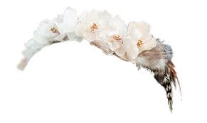 Flower And Feather Crown Flower Crown Tumblr White Flower Crown Transparent Flowers