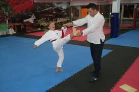 Taekwondo Sydney Master Martial Arts The Legend Begins Dos Taekwondo Sydney Best Taekwondo Club Sydney Carringbah Nsw Taekwondo Martial Arts Kickboxing