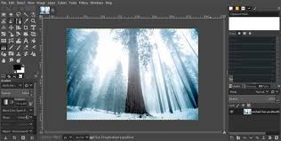 Free download the latest version of gimp for windows, macos and linux. How To Correct A Photo S Perspective Distortion With Gimp