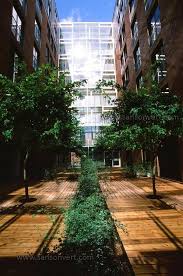 Amenagement D Une Terrasse Commune Entre Deux Immeubles D Habitations Photo Jardin Terrasse Jardins
