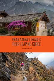 Hiking The Dramatic Scenery Of Tiger Leaping Gorge In Yunnan China Tigerleapinggorge Yunnanprovince Travel Destinations Asia Asia Travel China Travel Guide