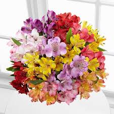 Orderflower Flowers Flower Birthday Special Discount Basket Florist Bouquet Toronto Source 416 Flowers Flower Delivery