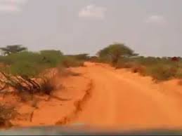 Geesnimada waa loo dhashaa ee lama barto, cabdi kaamil cawaale (naftii hure) waa nin mutaystay naanaystan muujinaysa dal jacayl iyo geesinimo, waa nin wixii ugu sargaalkii waday maalintaaa ee sii sagootinayay ayaa markii uu maqlay ereyada ka soo burqanaya cabdi kaamil cawaale, waxa uu. Download Taariikhda Cabdi Kaamil Cawaale Mp3 Mp4 Music Jireng Mp3