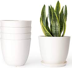 10% voucher applied at checkout. Mkouo 16 5cm Plastic Planters Indoor Set Of 5 Flower Plant Pots Modern Decorative Garden Pot With Drainage For All House Plants Flowers Herbs Foliage Plant And Seed Nursery Cream White Amazon Co Uk