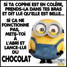 Les Minions Ca Marche Genres Litteraires Citations Par Genre Citations Les Plus Droles