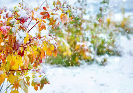 Hier erfahren sie, welche regeln für den winterdienst gelten und wann sie mit den kosten für den. Winter Mit Schnee Im Suden Wann Wird Es Wieder Warmer