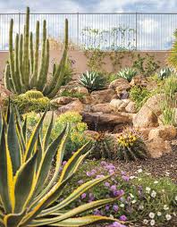 Small Space Big Impact Phoenix Home Garden Natural Home Decor Rustic Decor Boho Decor