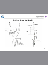Height Chart Synchronized Swimming Swimming Sports