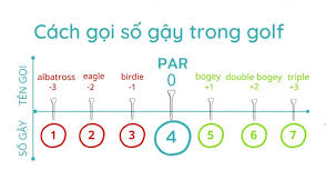 Tổng Hợp Từ Vựng Tiếng Anh Về Golf Đầy Đủ Và Chính Xác Nhất