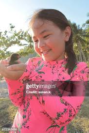 17 L78 Stock Photos, High-Res Pictures, and Images