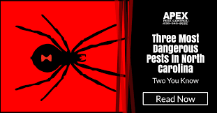 View ratings, photos, and more. Pest Control Asheville