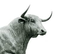 Without too much suspense, the trophy for the evilest zodiac sign goes to scorpio! The 6 Dumbest Zodiac Signs Ranked
