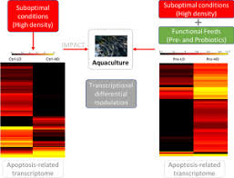 transcriptome mining of apoptotic mechanisms in response to