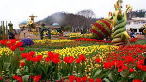 Salah satu tempat favorit pengambilan gambar drama adalah taman di korea selatan. Festival Bunga Musim Semi Di Korea Selatan Trip Dan Tour Ke Korea