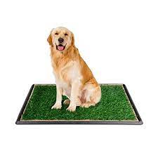 Remove the bulk of the mess 2. Delmango Indoor Dog Potty Grass Pad Puppy Potty Training Artificial Grass Mats Dog Fake Grass Pee Pad With Tray Dogsfirm