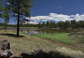 White horse lake campground has 94 campsites and is a beautiful campground with 6 loops situated around the lake. Kaibab National Forest News Events