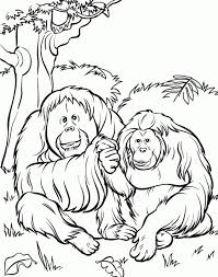 Set off fireworks to wish amer. Zoo Animal Coloring Pages 2168 Pics To Color Coloring Library