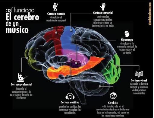 La música: química, emoción y cerebro La música tiene un impacto  profundo en el cerebro, involucrando tanto procesos químicos como  emocionales que modulan el estado de ánimo y la motivación. Su percepción