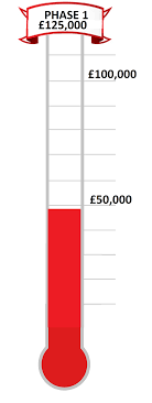 Fundraising Goal Chart Template Sada Margarethaydon Com