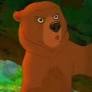 brother bear from www.imdb.com