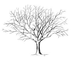 This leaf drawing is so easy that it is. How To Draw A Tree With Leaves