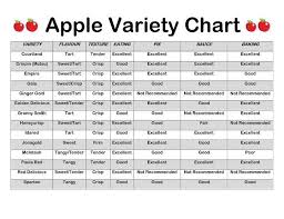 Apple Variety Chart Tastingthefitlife